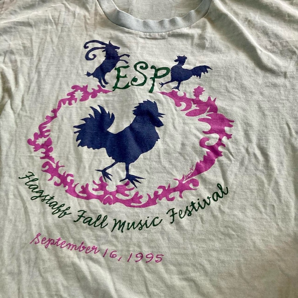 Vintage 1995 flagstaff AZ fall music festival single stitch t shirt - Picture 6 of 8